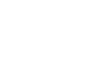 bluestar-nation-logo-1